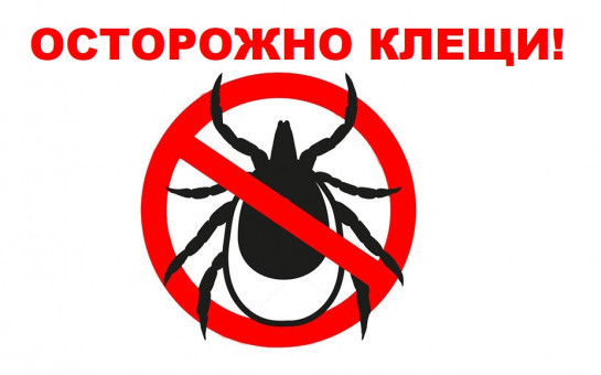 Памятка населению по профилактике клещевого вирусного энцефалита (КВЭ) и клещевого боррелиоза (КБ)