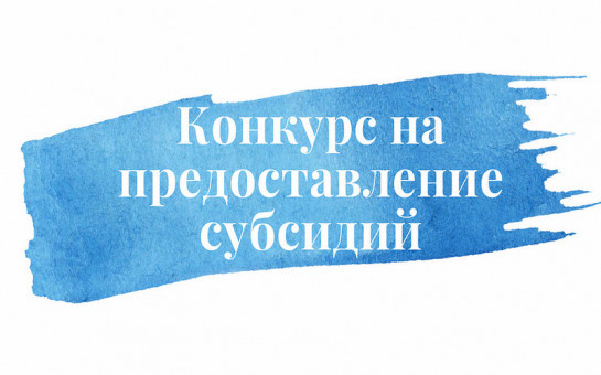 Победители в конкурсе субсидий