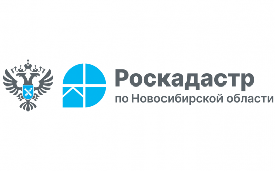 Как жителям Чановского района можно получить сведения о недвижимости?
