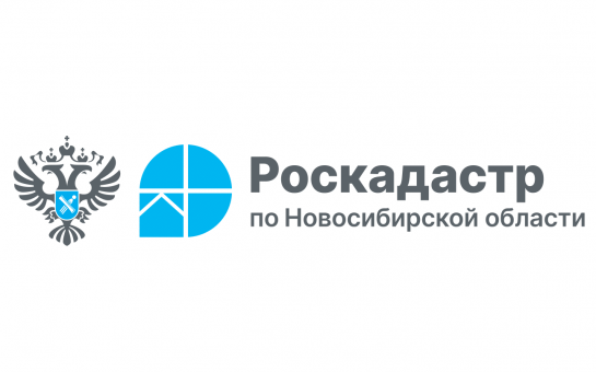 В Новосибирской области выявили 8655 га для создания туристических объектов