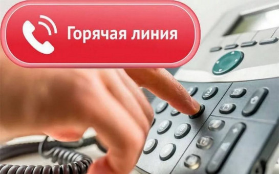 Горячая линия